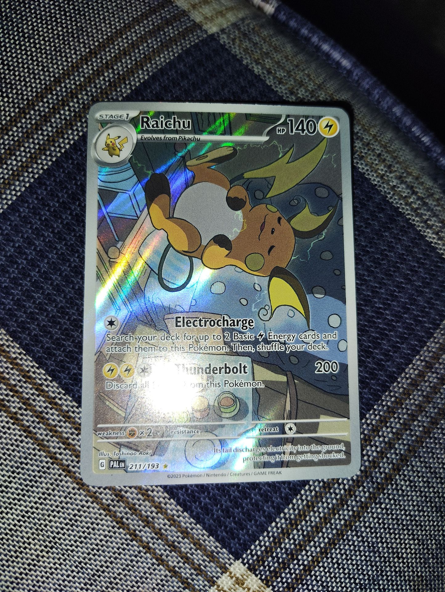 Raichu #211/193
