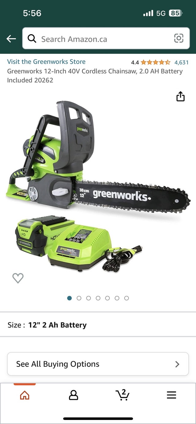 Greenworks 40v 12" Chainsaw - photo 2