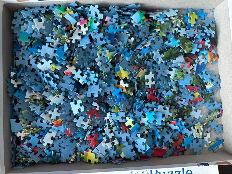 999 piece Ravensburger puzzle cash only $15 - photo 2