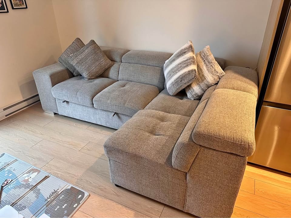 Modern Sectional Sofa w/ Pull-Out Bed + Storage Ottoman