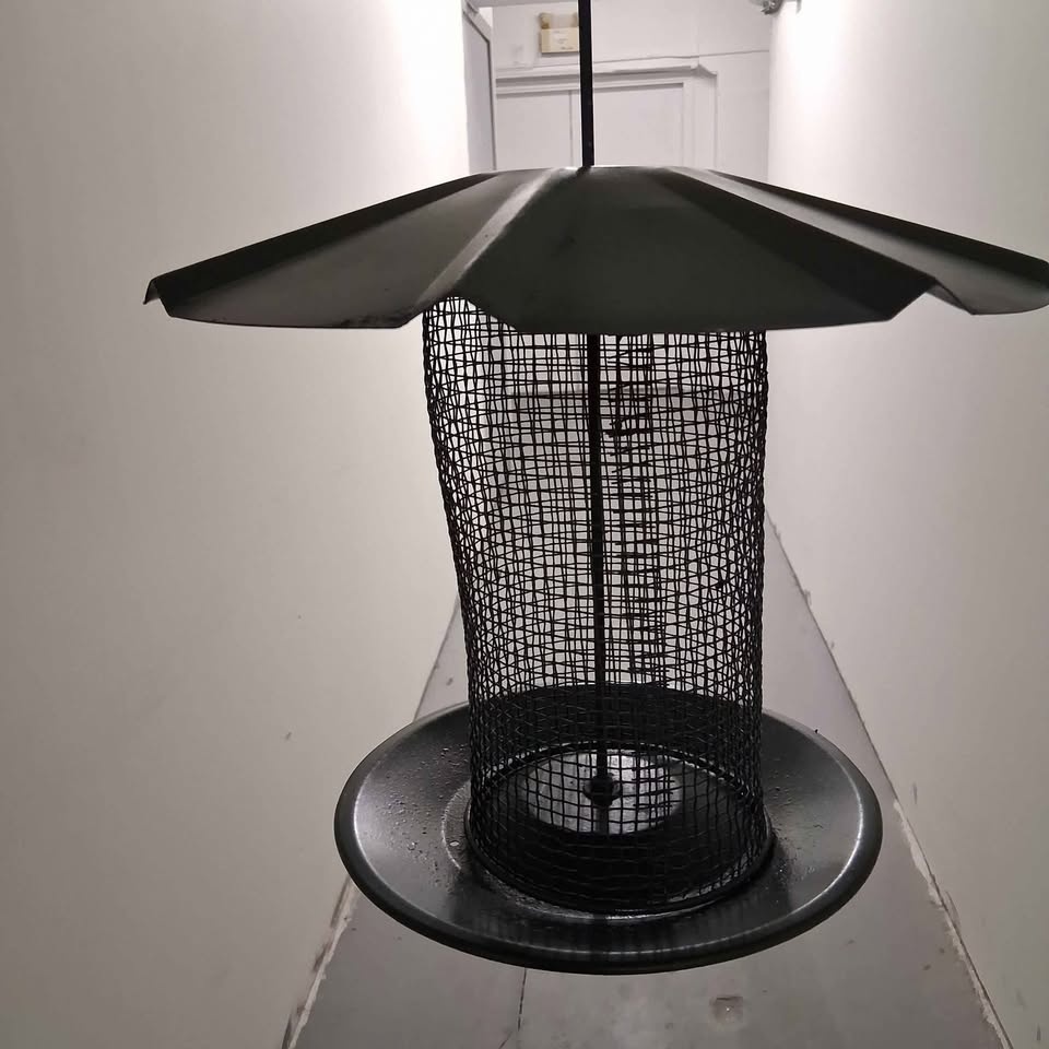 Large Bird Feeder - photo 3