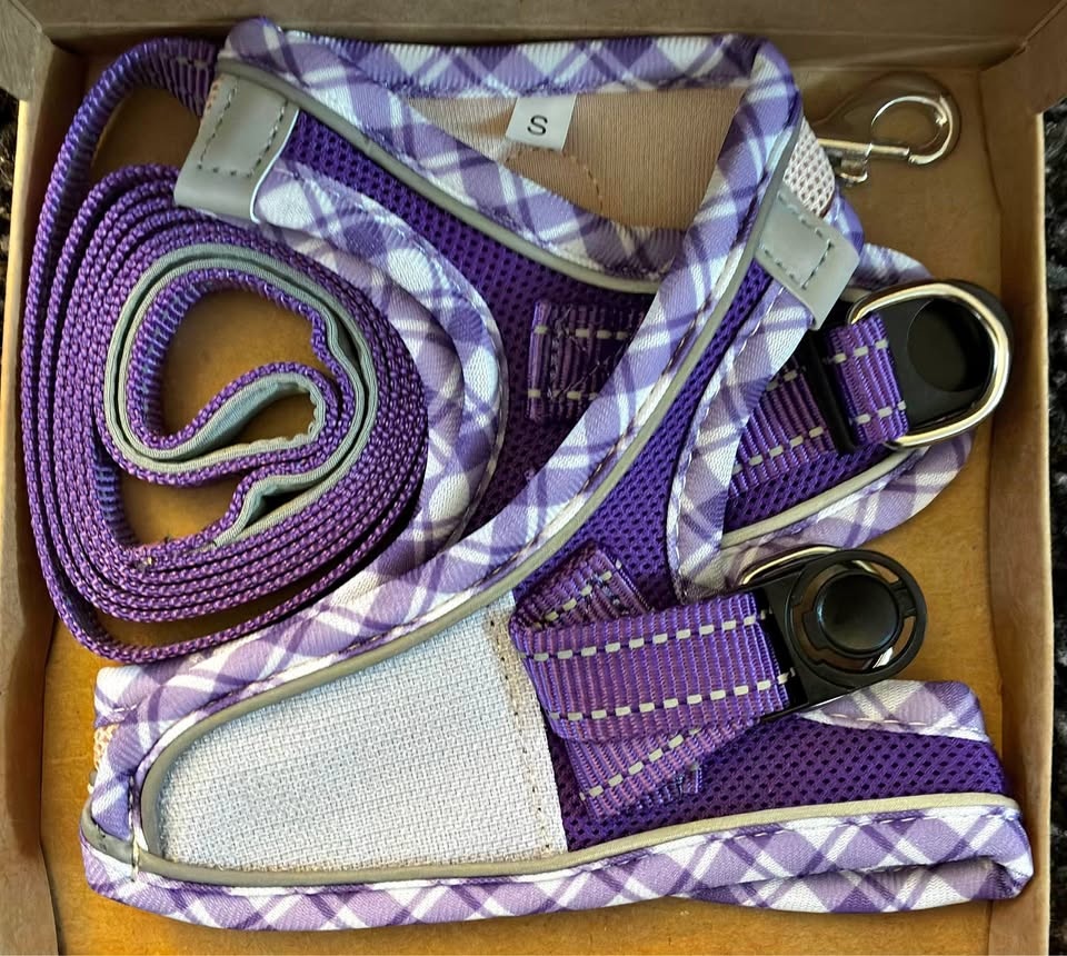 Hipubby Dog/Cat Harness + Leash - BNIB