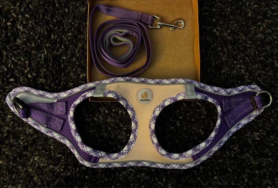 Hipubby Dog/Cat Harness + Leash - BNIB - photo 3