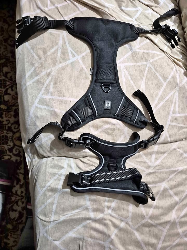 Heavy Duty Dog Harness - Large & XL - $5 Each