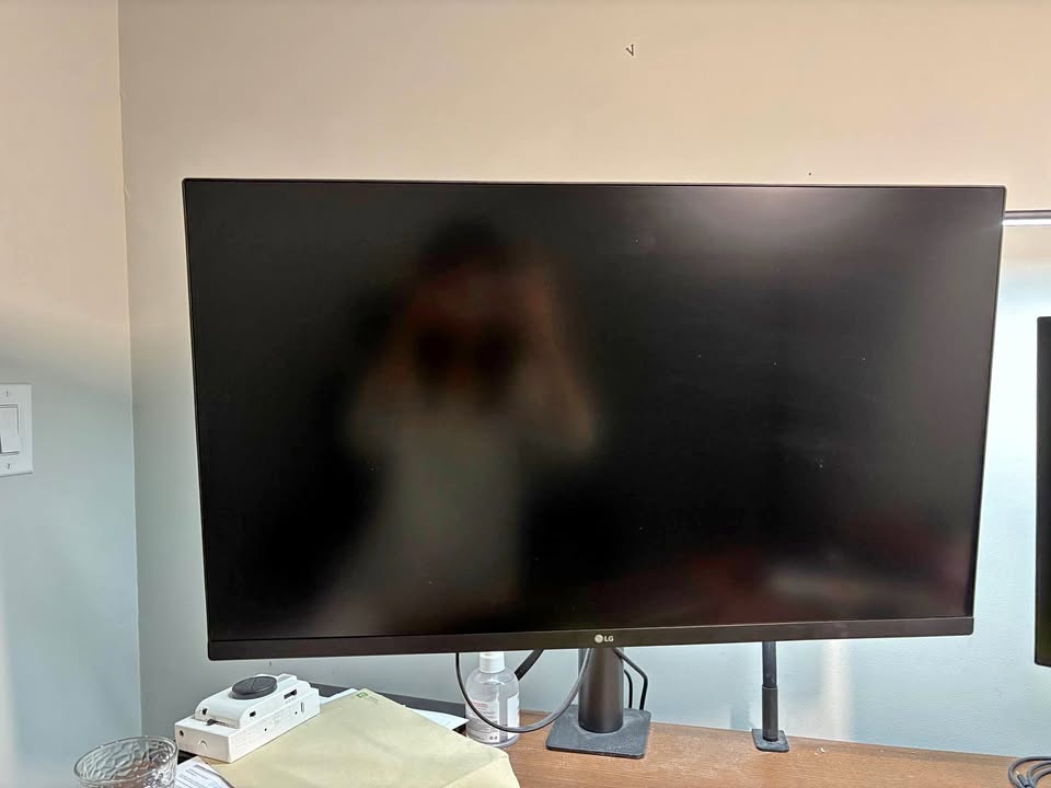LG 32" 4K UHD Monitor USB-C Ergo Stand (32UN880-B)