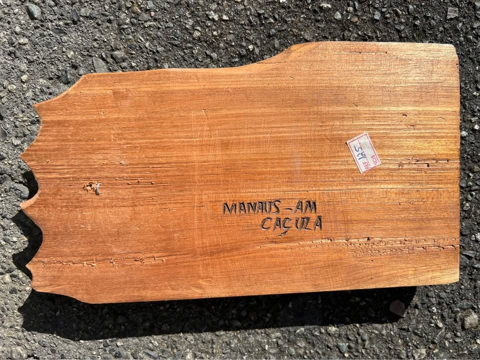Vintage Hand Carved Amazon Wood Wall Art – Manaus Brazil - photo 2