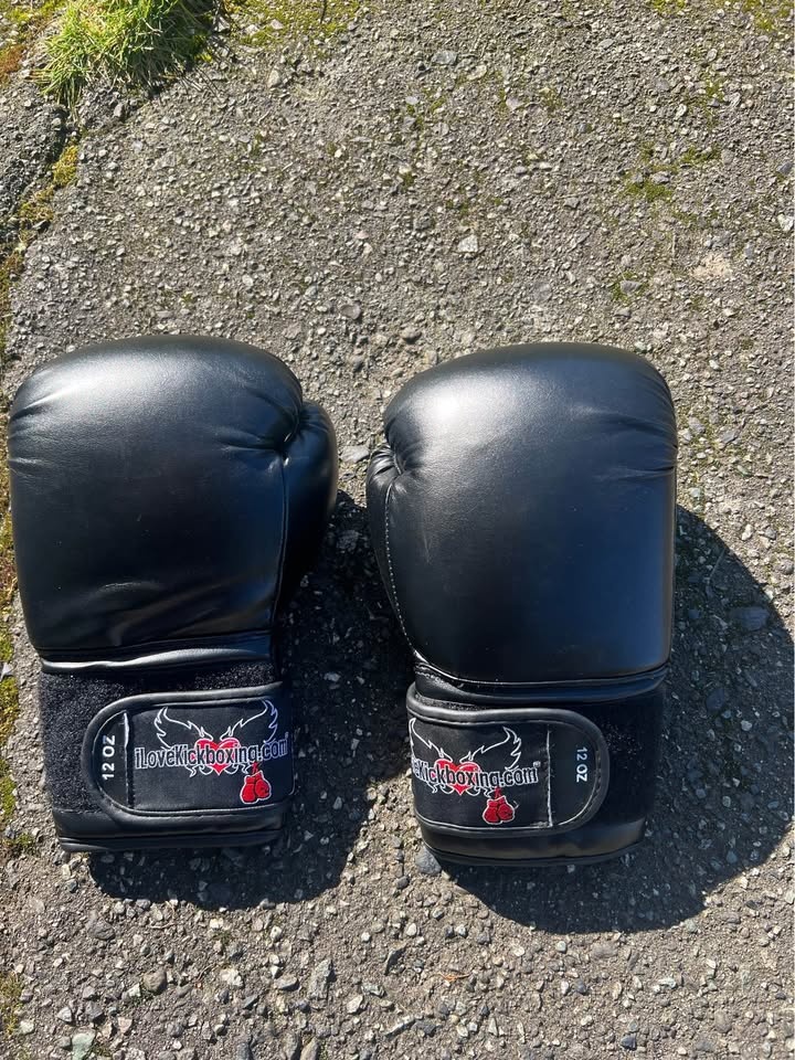 Mikado Shin/Foot Pads & Century Kickboxing Gloves - photo 4
