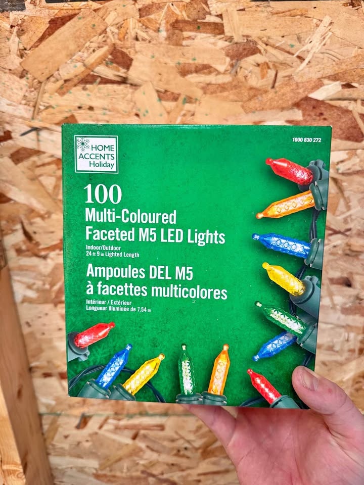 M5 Multi-Colour LED Christmas Lights – 100 Count