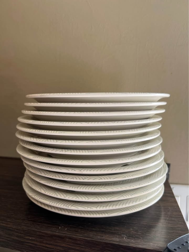 Acrylic Plates Set of 14 - photo 2