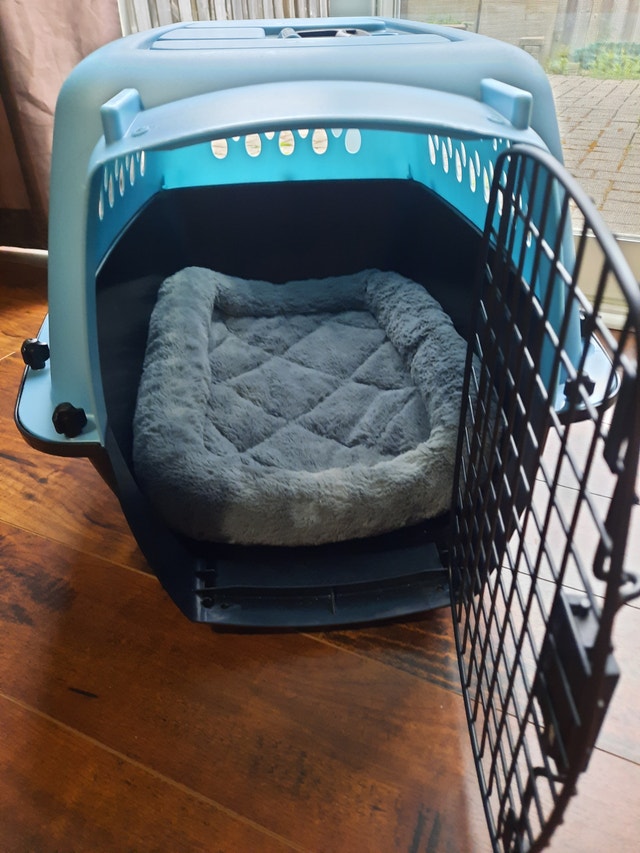 Plastic Portable Travel Dog Kennel, Pet Carrier