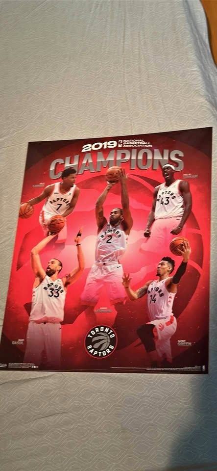 Raptors 2019 Championship Wood Board Poster - Trends INTL