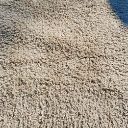 5x7 Area Rug - photo 2