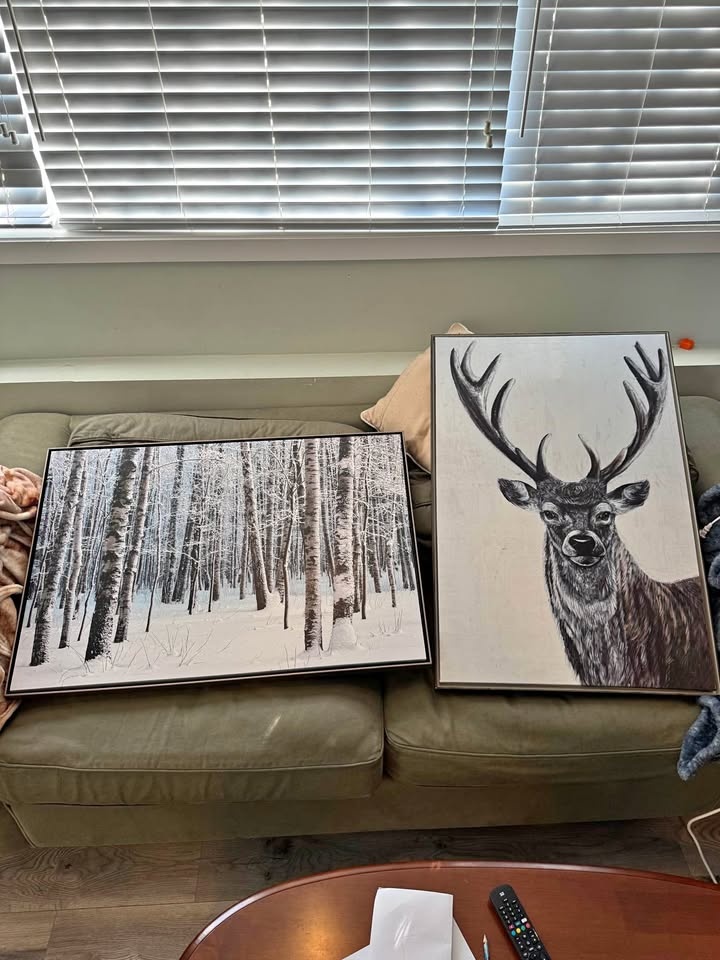 2 Large pictures