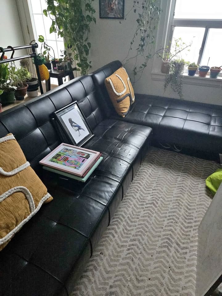 Sectional sofa bed for FREE