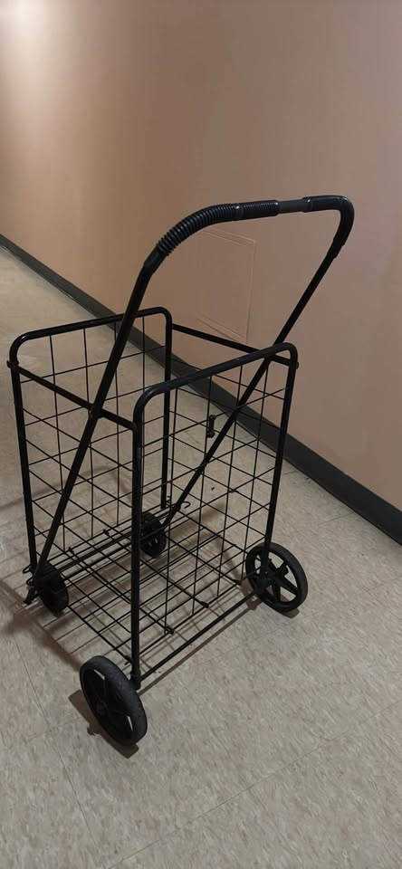 Black Wire Shopping Cart