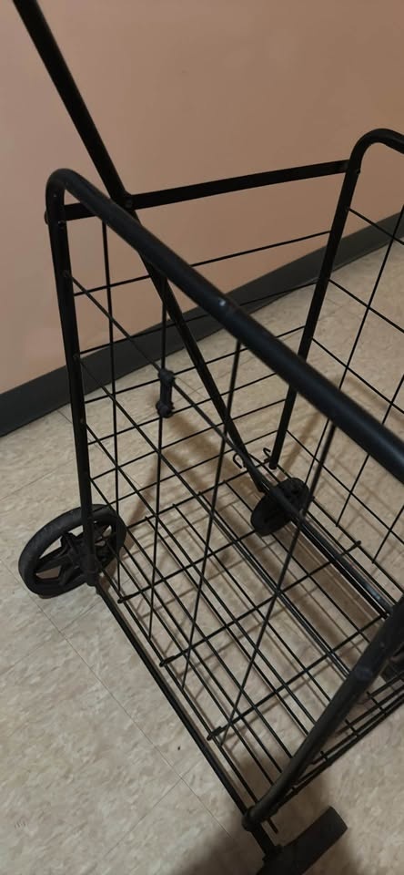 Black Wire Shopping Cart - photo 3