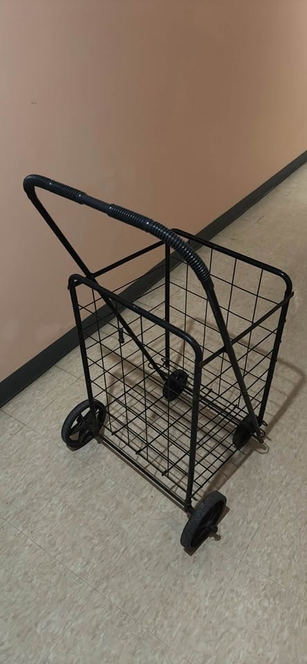 Black Wire Shopping Cart - photo 4