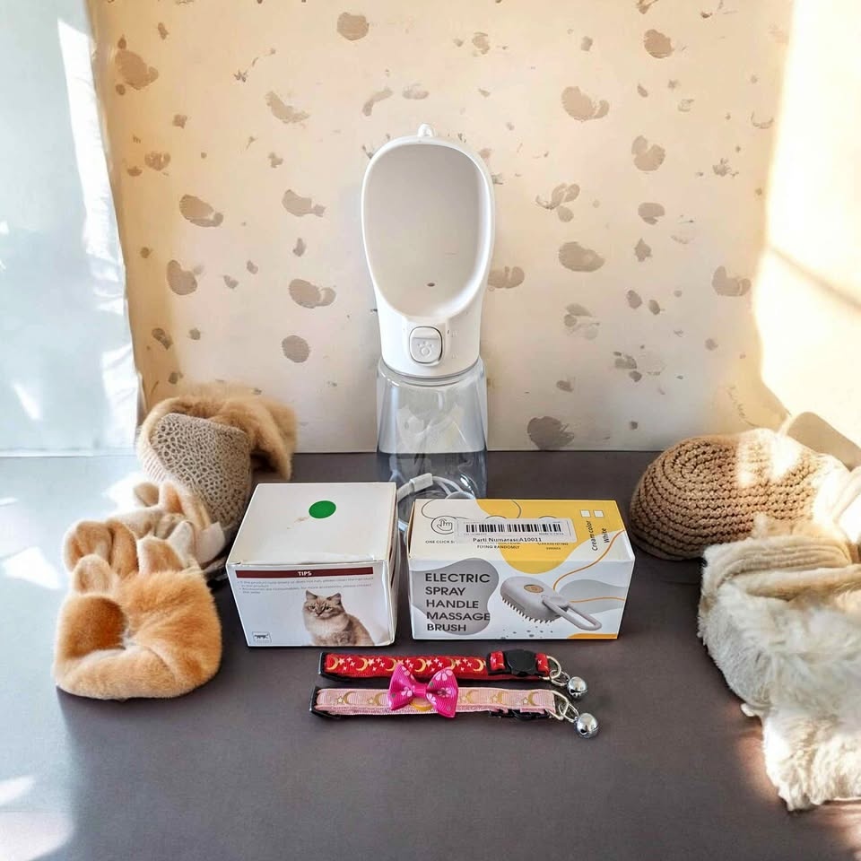 Pet Care Combo: Walk & Groom Set