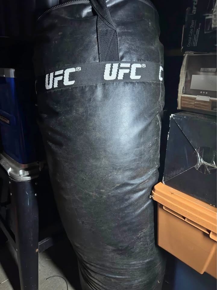 UFC Heavy Bag
