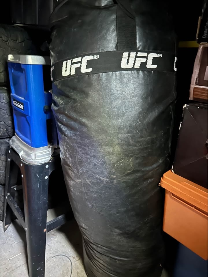 UFC Heavy Bag - photo 2