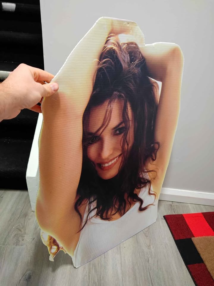 Vintage Rare 2003 Shania Twain Up Promo Sign - photo 2