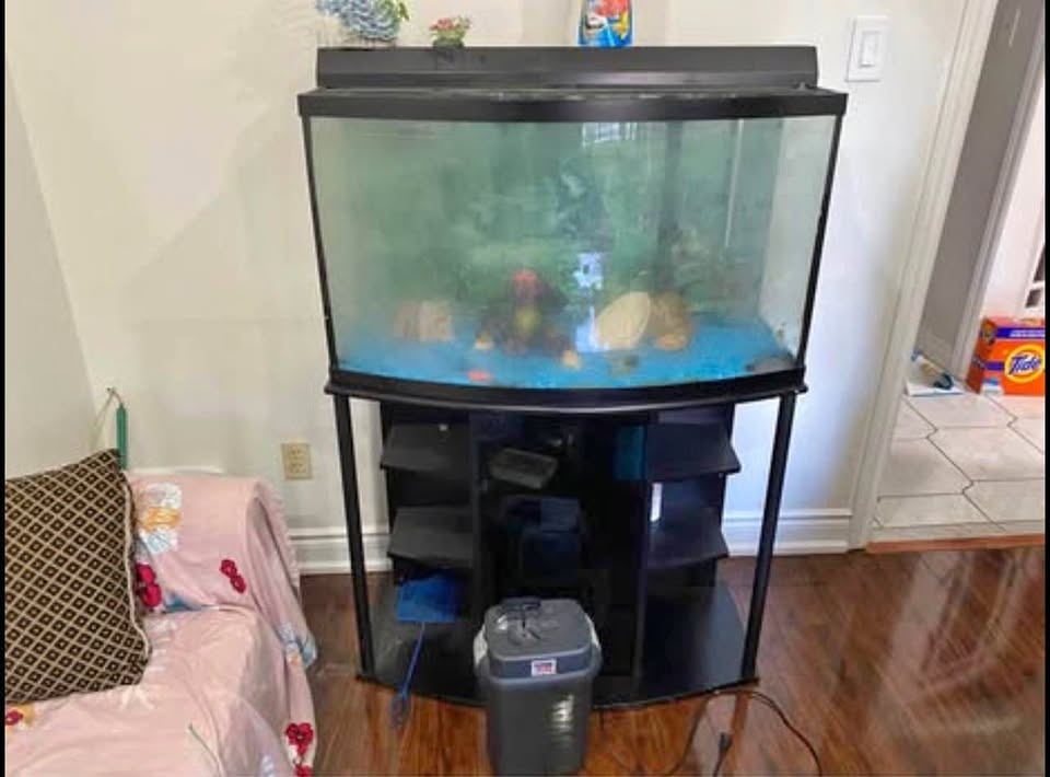 Fish tank with decorations