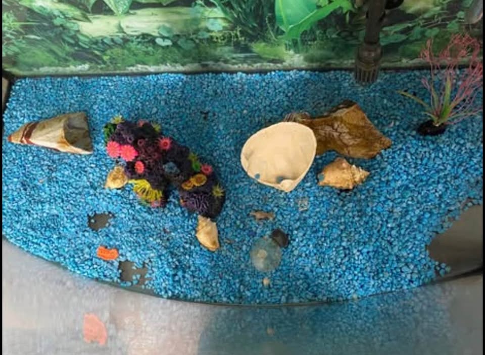 Fish tank with decorations - photo 3