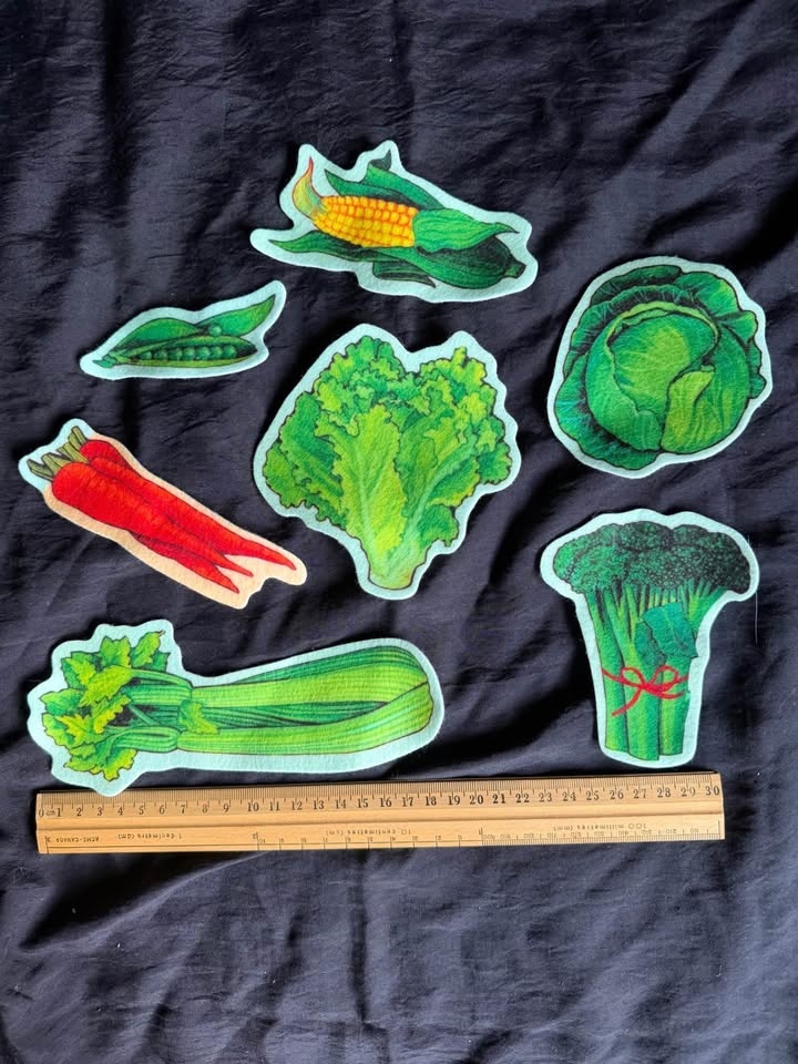 Felt food groups-healthy living - photo 3