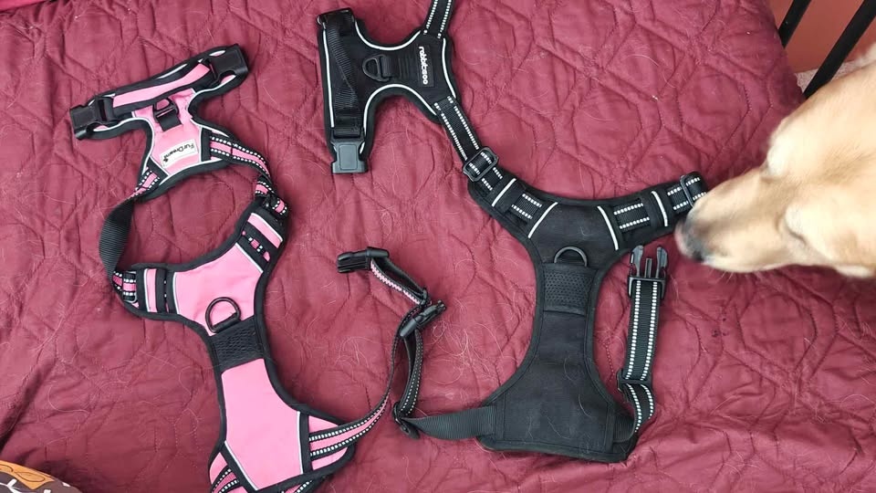 Dog Harness - photo 2