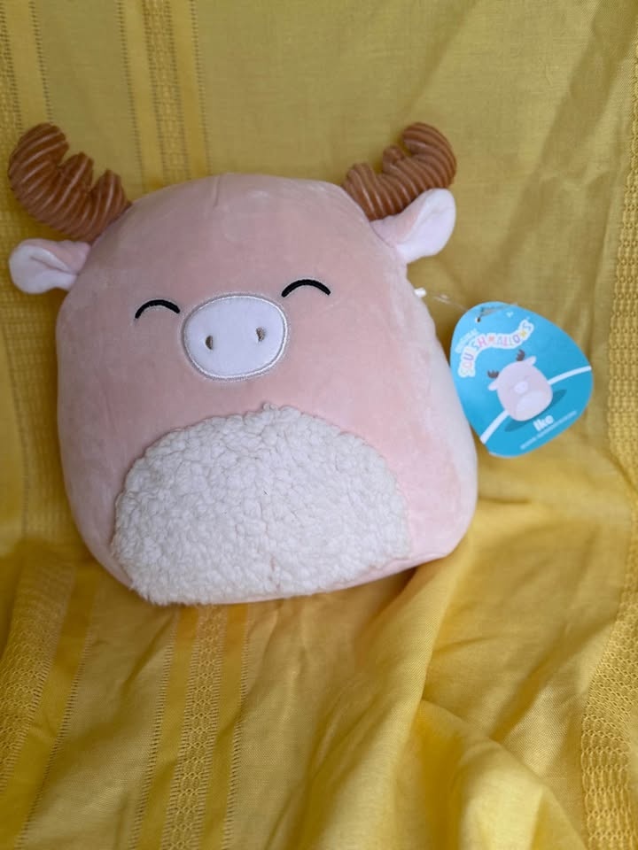 Looking Moosetacular! Squishmallow and Douglas co moose. - photo 2