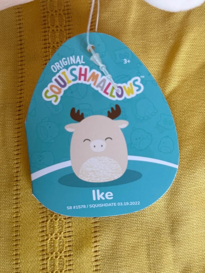 Looking Moosetacular! Squishmallow and Douglas co moose. - photo 4