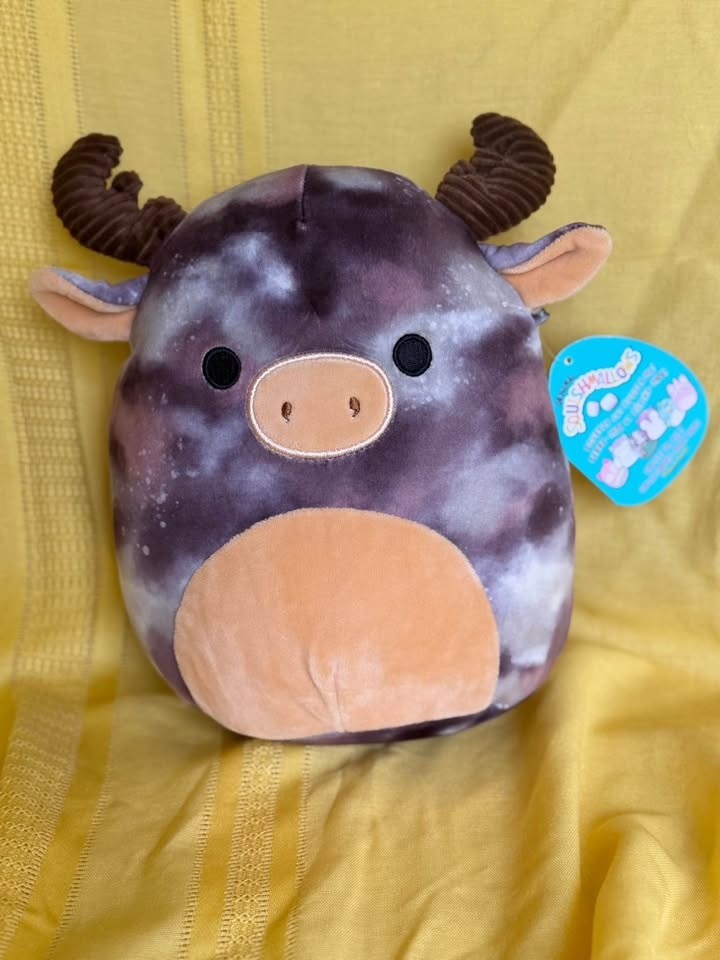 Looking Moosetacular! Squishmallow and Douglas co moose. - photo 5