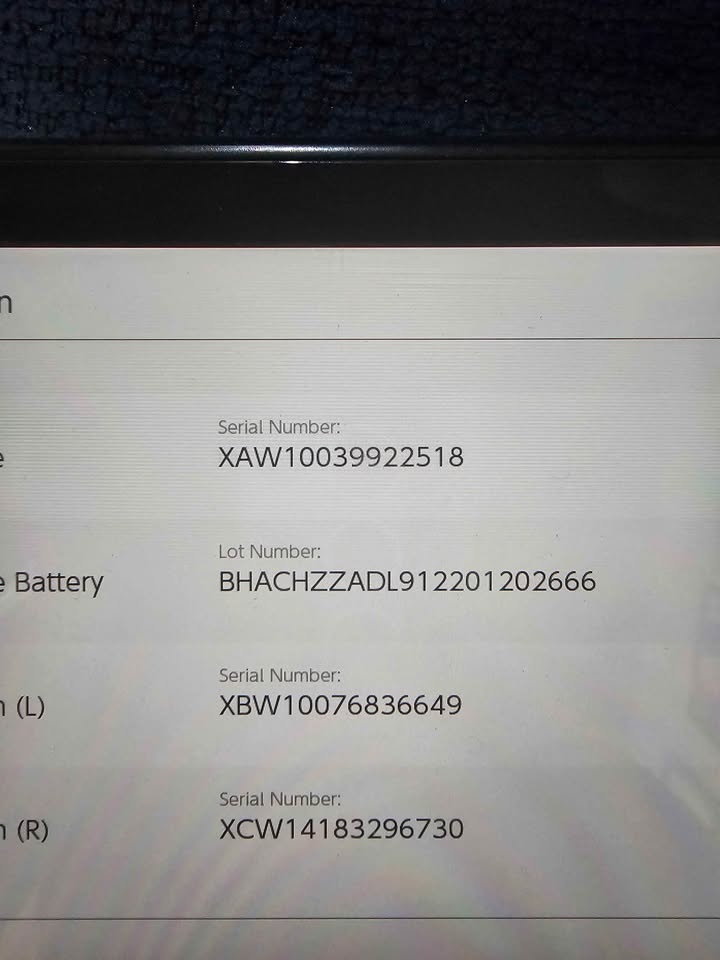 Nintendo Switch V1 Unpatched for sale $170 - photo 3