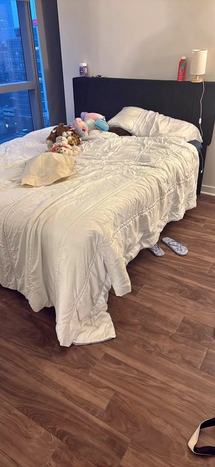 Queen Velvet Black Bed Frame