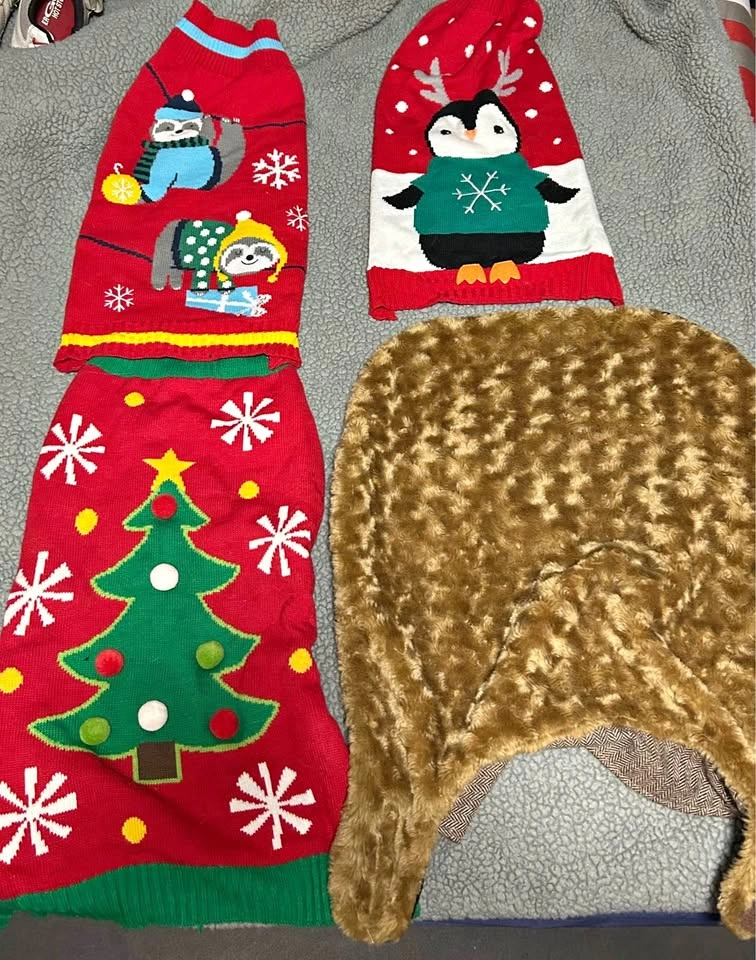 Winter Dog Clothes