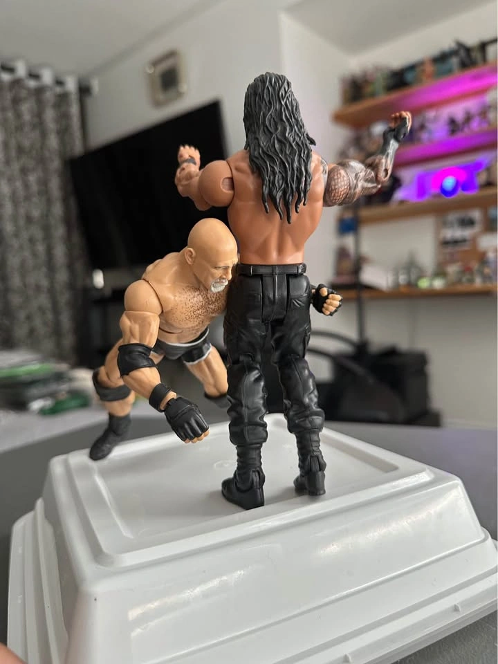 Bill Goldberg and Roman Reigns - photo 4