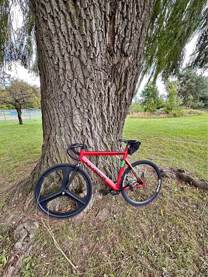 Leader 725 Fixed Gear Bike Frame - Excellent Condition