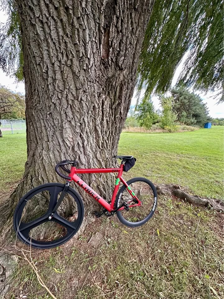 Leader 725 Fixed Gear Bike Frame - Excellent Condition - photo 2