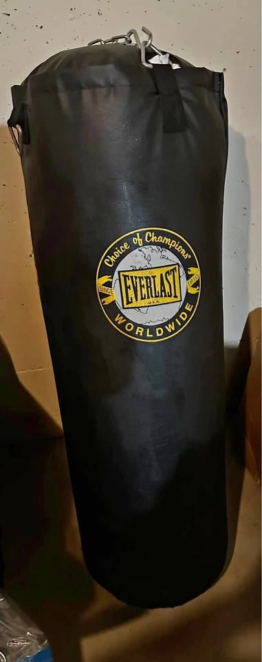 *Like New* Everlast Punching Bag and Brand New Sparring/Boxing g