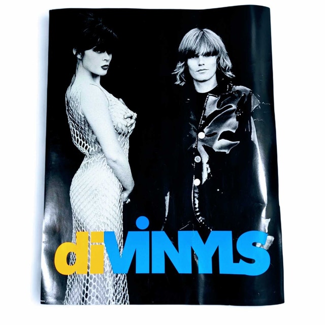 Vintage Rare 1991 Divinls I Touch My Self Promo Poster
