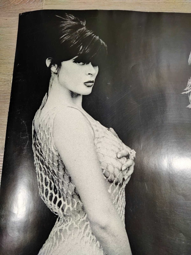 Vintage Rare 1991 Divinls I Touch My Self Promo Poster - photo 2
