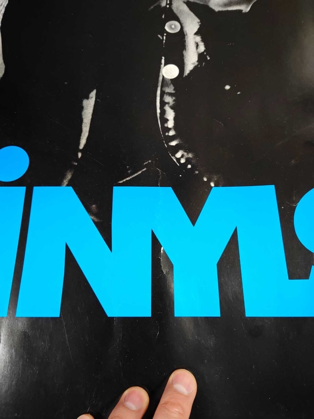 Vintage Rare 1991 Divinls I Touch My Self Promo Poster - photo 4