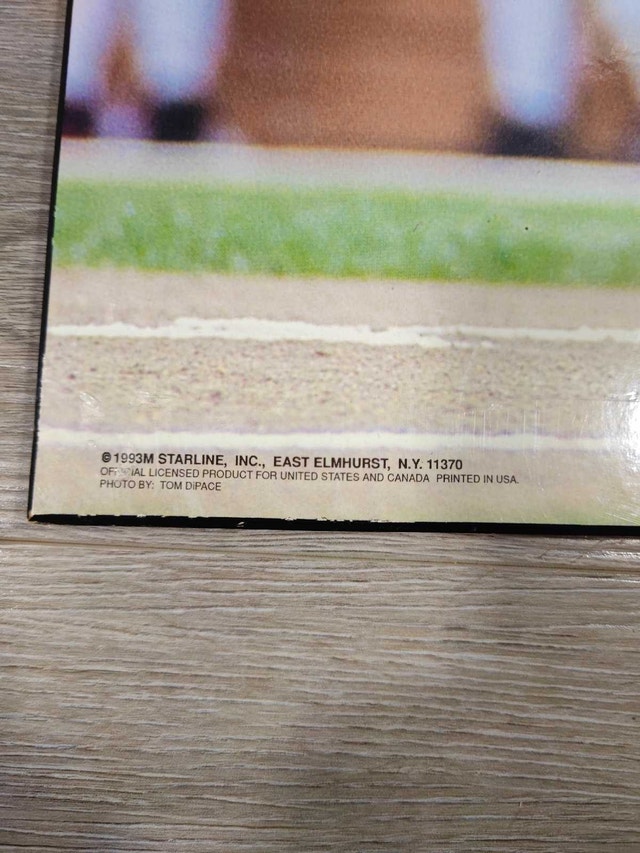 Vintage 1993 Blue Jays World Series Roberto Alomar Wood Poster - photo 2
