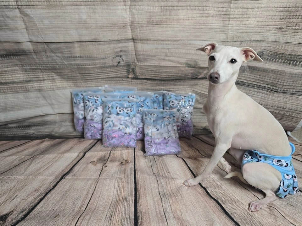 NEW Washable Dog Diapers Female - 3 Pack (Small) - photo 5