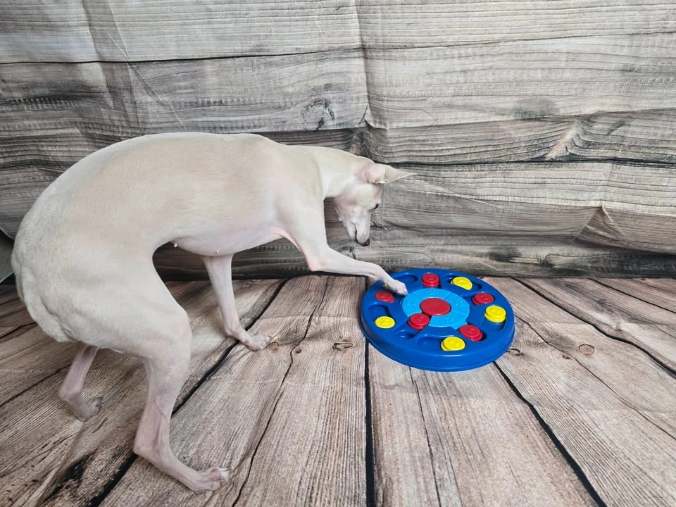 NEW Dog Interactive Toy - photo 2
