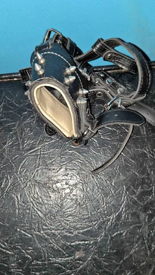 Custom terrier pitbull amstaff staffie muzzle