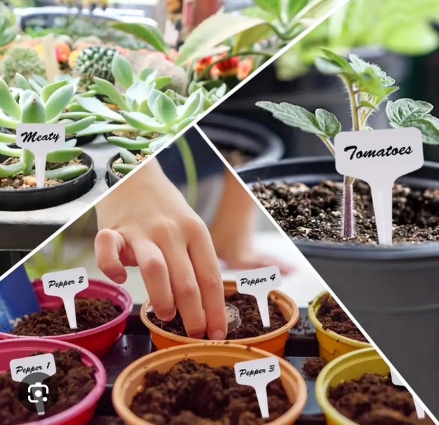 Brand New Expert Gardener Plant Labels