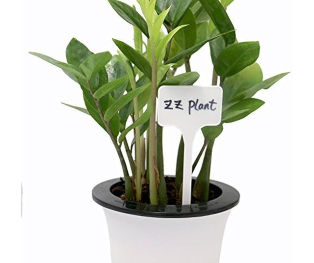 Brand New Expert Gardener Plant Labels - photo 5