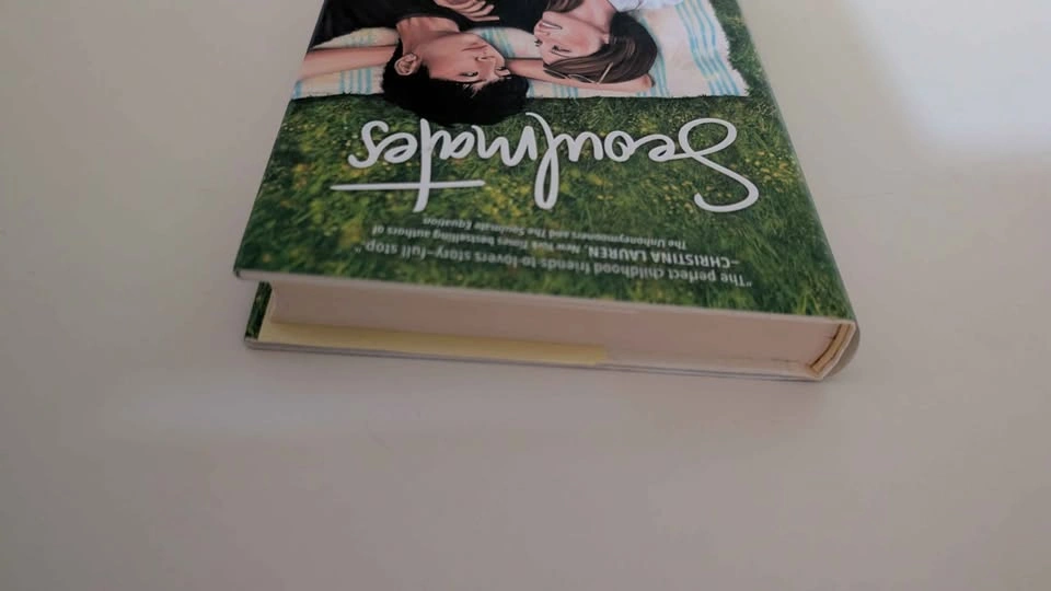 Soulmates by Susan Lee book Hardback - photo 5