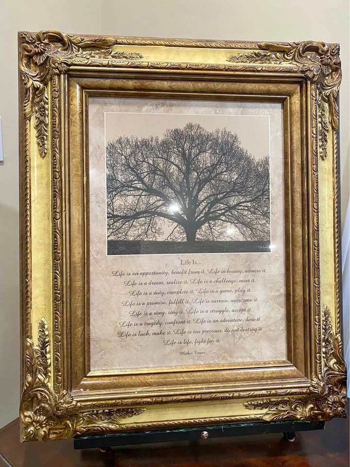 Framed Wall Art - Ornate Gold Frame 23.5x20”